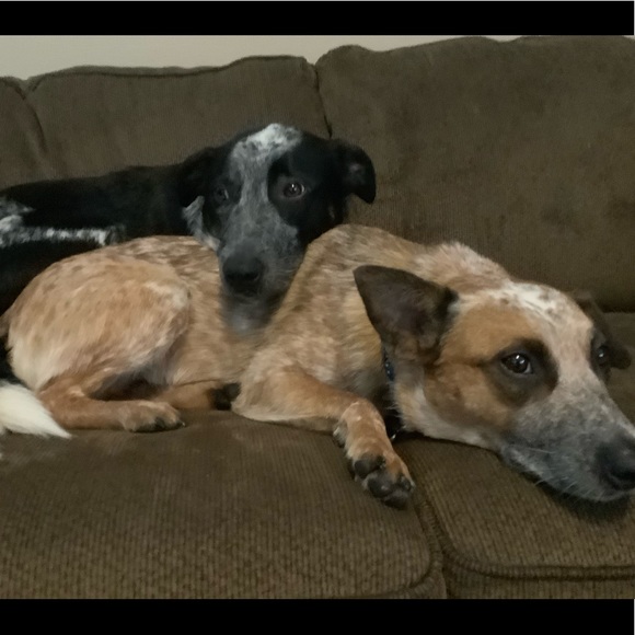 Meet your Posher, Melissa - Picture 2 of 4